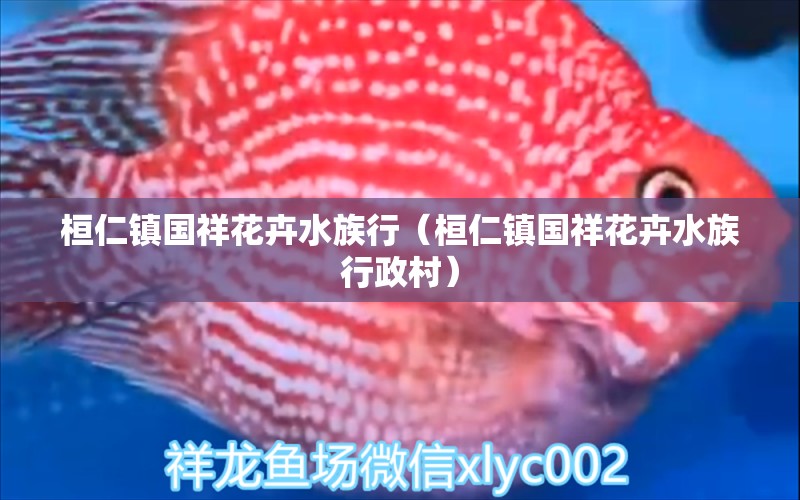 桓仁镇国祥花卉水族行（桓仁镇国祥花卉水族行政村） 全国水族馆企业名录