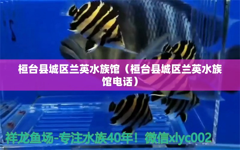 桓台县城区兰英水族馆（桓台县城区兰英水族馆电话）