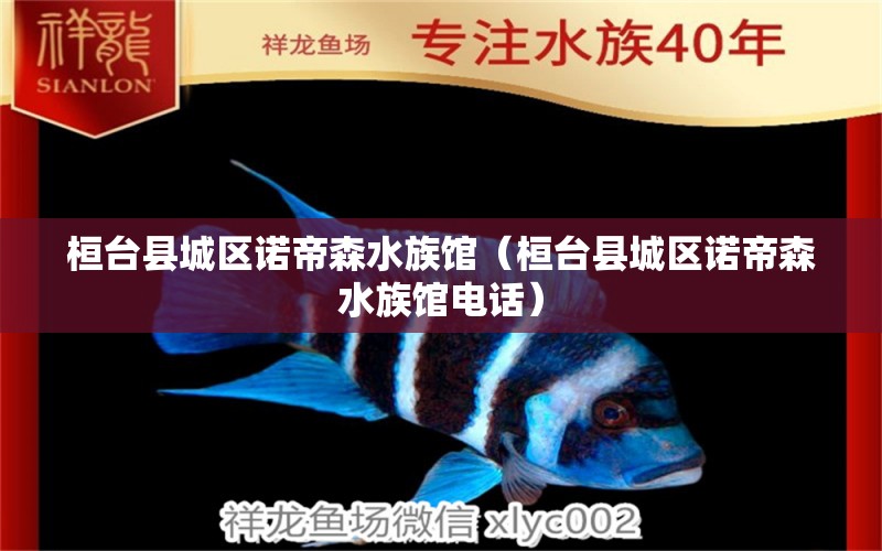 桓台县城区诺帝森水族馆（桓台县城区诺帝森水族馆电话）