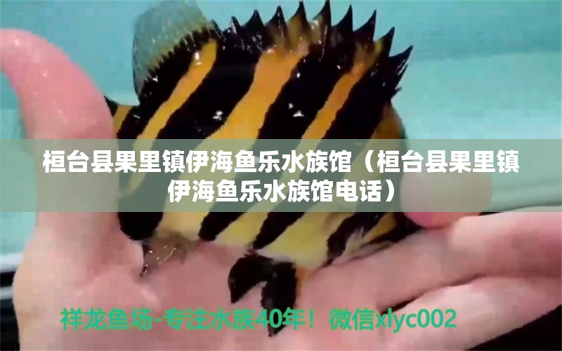 桓台县果里镇伊海鱼乐水族馆（桓台县果里镇伊海鱼乐水族馆电话）