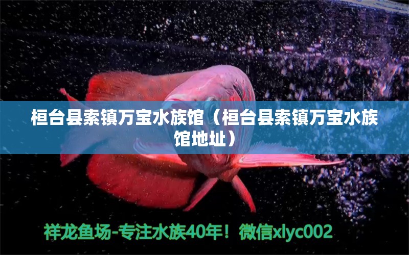 桓台县索镇万宝水族馆（桓台县索镇万宝水族馆地址）