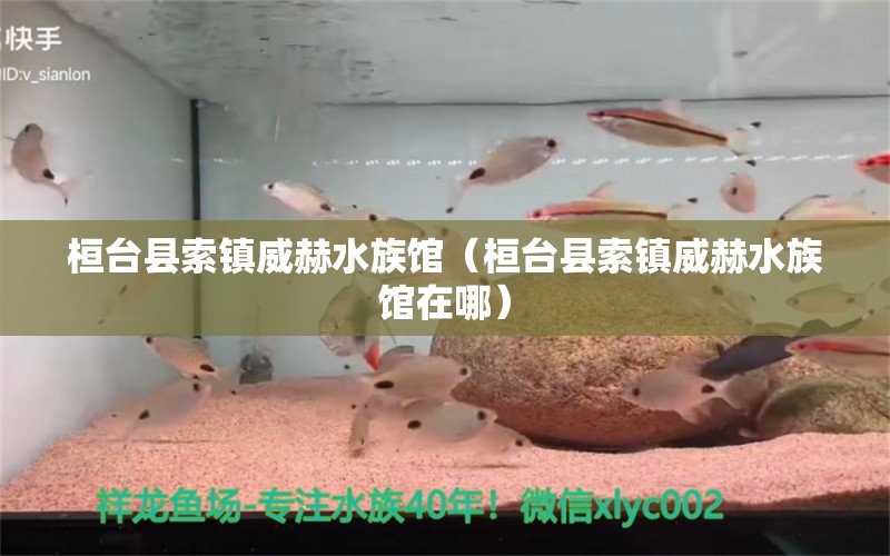 桓台县索镇威赫水族馆（桓台县索镇威赫水族馆在哪） 全国水族馆企业名录