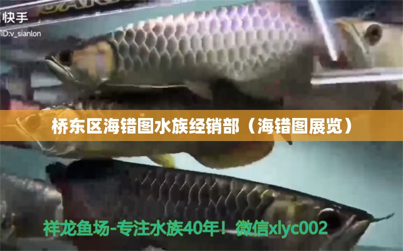 桥东区海错图水族经销部（海错图展览） 全国水族馆企业名录