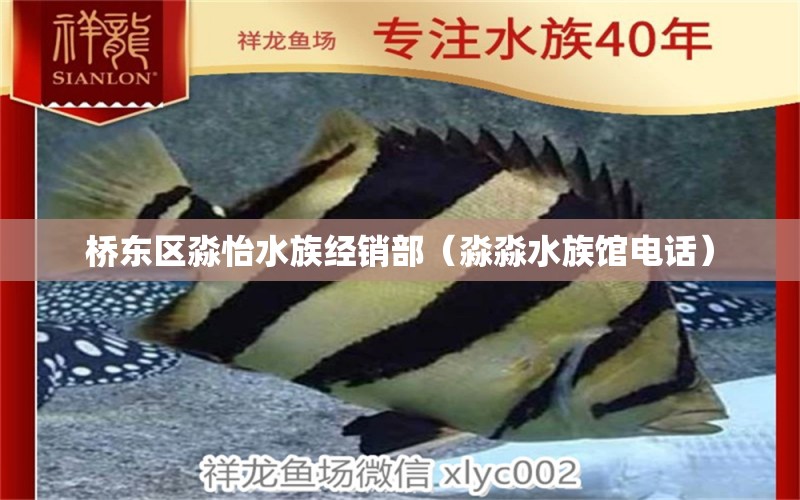 桥东区淼怡水族经销部（淼淼水族馆电话）