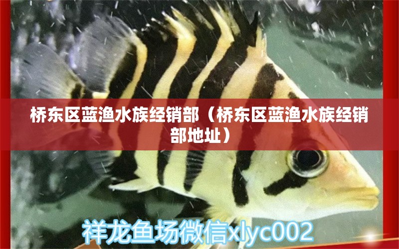 桥东区蓝渔水族经销部（桥东区蓝渔水族经销部地址）