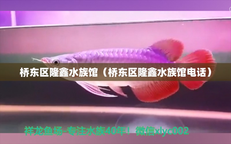 桥东区隆鑫水族馆（桥东区隆鑫水族馆电话）