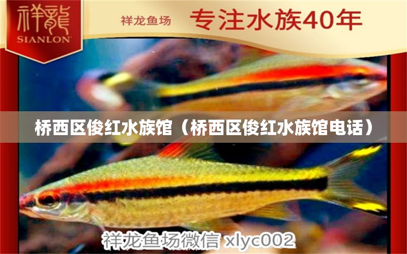 桥西区俊红水族馆（桥西区俊红水族馆电话）