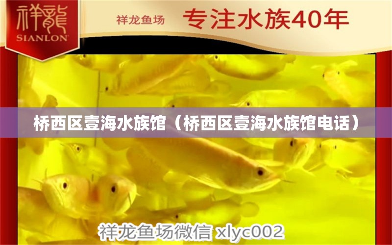 桥西区壹海水族馆（桥西区壹海水族馆电话） 全国水族馆企业名录