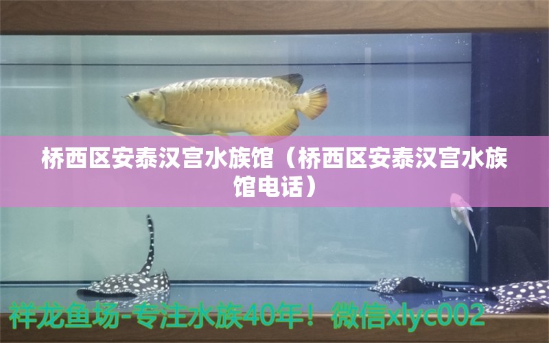 桥西区安泰汉宫水族馆（桥西区安泰汉宫水族馆电话） 全国水族馆企业名录