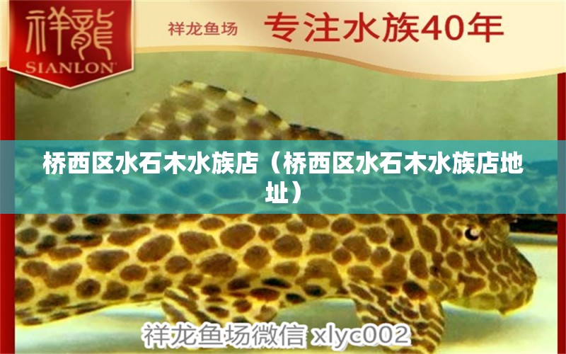 桥西区水石木水族店（桥西区水石木水族店地址） 全国水族馆企业名录