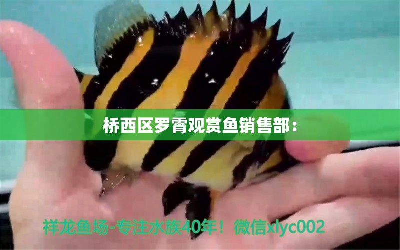 桥西区罗霄观赏鱼销售部： 全国水族馆企业名录