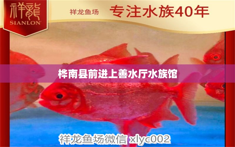 桦南县前进上善水厅水族馆