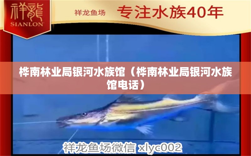 桦南林业局银河水族馆（桦南林业局银河水族馆电话）