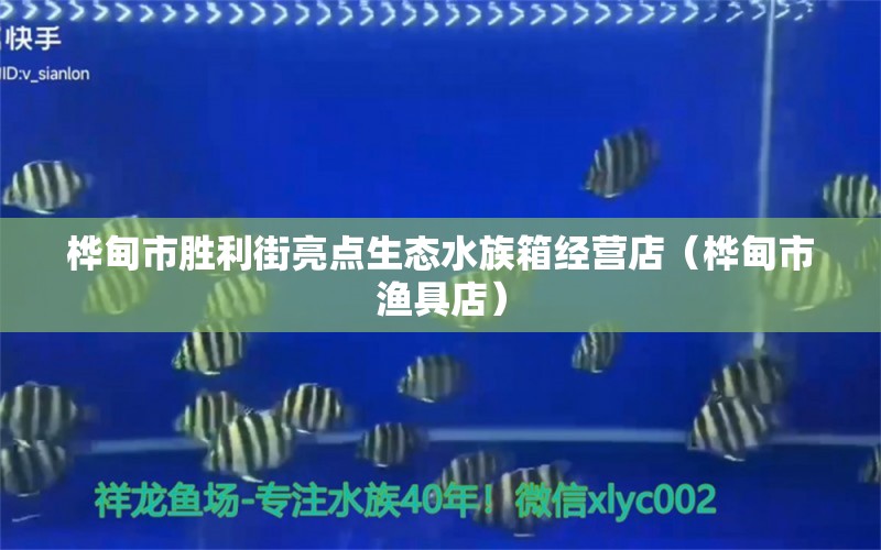 桦甸市胜利街亮点生态水族箱经营店（桦甸市渔具店）