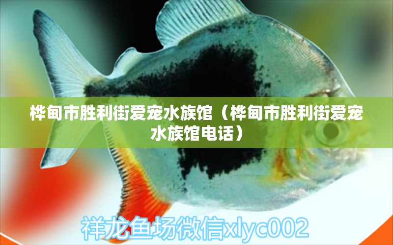 桦甸市胜利街爱宠水族馆（桦甸市胜利街爱宠水族馆电话） 全国水族馆企业名录