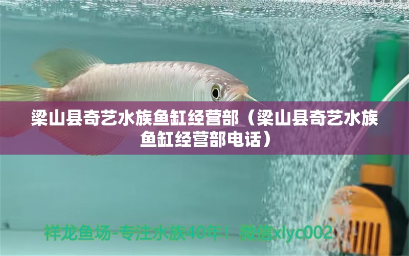 梁山县奇艺水族鱼缸经营部（梁山县奇艺水族鱼缸经营部电话） 全国水族馆企业名录