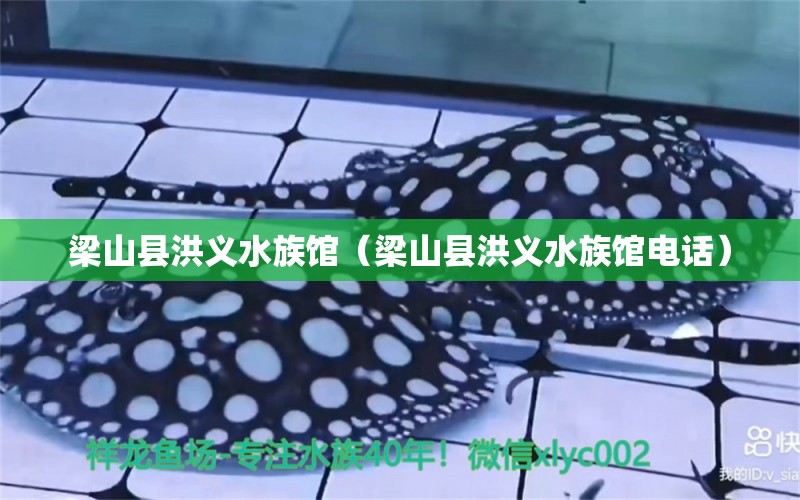 梁山县洪义水族馆（梁山县洪义水族馆电话） 全国水族馆企业名录