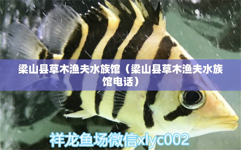 梁山县草木渔夫水族馆（梁山县草木渔夫水族馆电话）