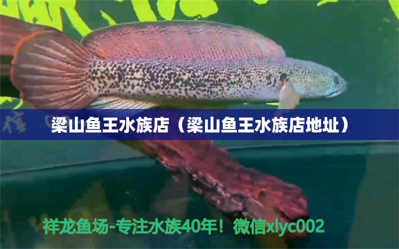 梁山鱼王水族店（梁山鱼王水族店地址） 全国水族馆企业名录