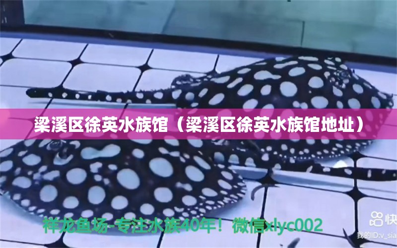 梁溪区徐英水族馆（梁溪区徐英水族馆地址） 全国水族馆企业名录