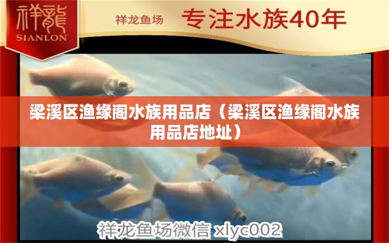 梁溪区渔缘阁水族用品店（梁溪区渔缘阁水族用品店地址）