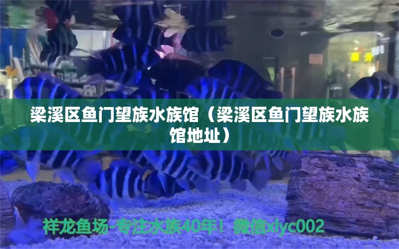 梁溪区鱼门望族水族馆（梁溪区鱼门望族水族馆地址） 全国水族馆企业名录