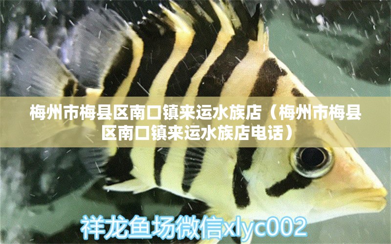 梅州市梅县区南口镇来运水族店（梅州市梅县区南口镇来运水族店电话）