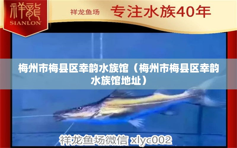 梅州市梅县区幸韵水族馆（梅州市梅县区幸韵水族馆地址）