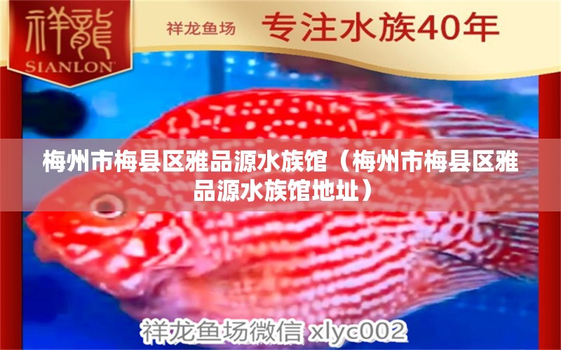 梅州市梅县区雅品源水族馆（梅州市梅县区雅品源水族馆地址）