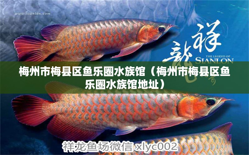 梅州市梅县区鱼乐圈水族馆（梅州市梅县区鱼乐圈水族馆地址）