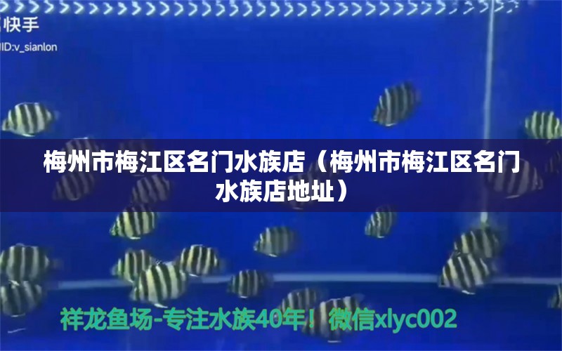 梅州市梅江区名门水族店（梅州市梅江区名门水族店地址） 全国水族馆企业名录