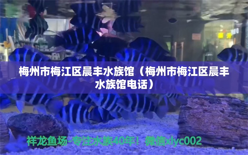 梅州市梅江区晨丰水族馆（梅州市梅江区晨丰水族馆电话） 全国水族馆企业名录