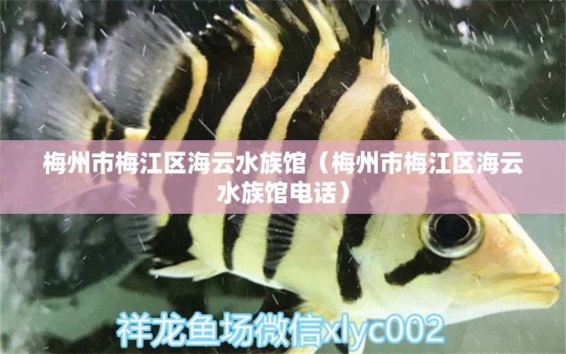 梅州市梅江区海云水族馆（梅州市梅江区海云水族馆电话）