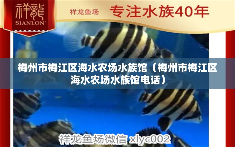 梅州市梅江区海水农场水族馆（梅州市梅江区海水农场水族馆电话）