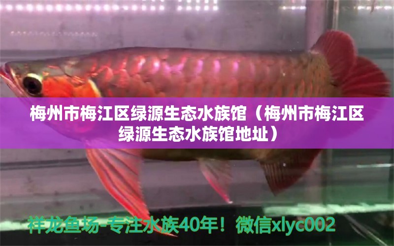 梅州市梅江区绿源生态水族馆（梅州市梅江区绿源生态水族馆地址）