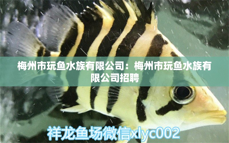 梅州市玩鱼水族有限公司：梅州市玩鱼水族有限公司招聘 全国水族馆企业名录