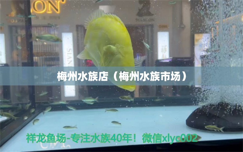 梅州水族店（梅州水族市场）