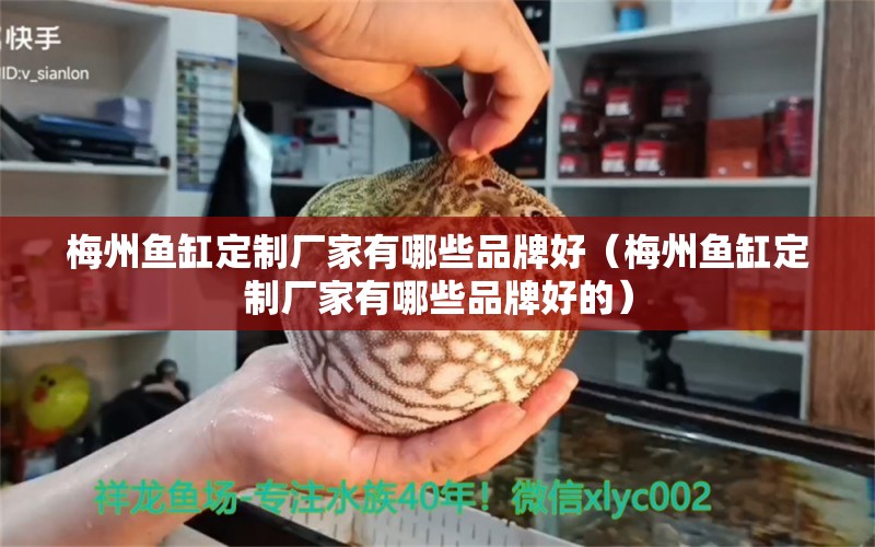 梅州鱼缸定制厂家有哪些品牌好（梅州鱼缸定制厂家有哪些品牌好的）