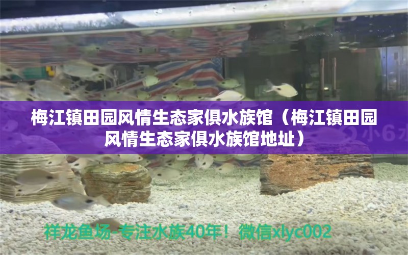 梅江镇田园风情生态家俱水族馆（梅江镇田园风情生态家俱水族馆地址）