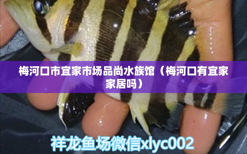 梅河口市宜家市场品尚水族馆（梅河口有宜家家居吗） 全国水族馆企业名录