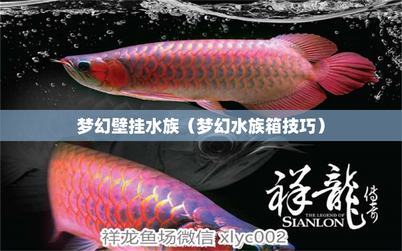 梦幻壁挂水族（梦幻水族箱技巧）