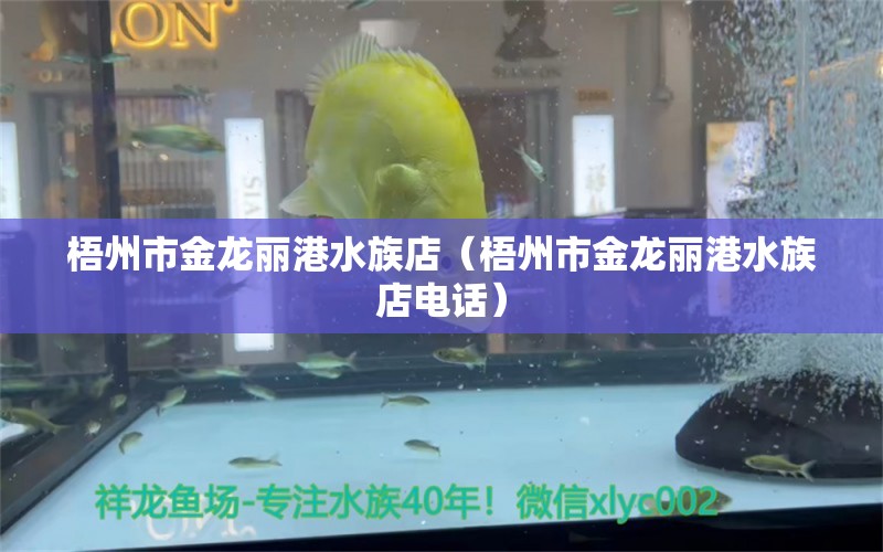 梧州市金龙丽港水族店（梧州市金龙丽港水族店电话）