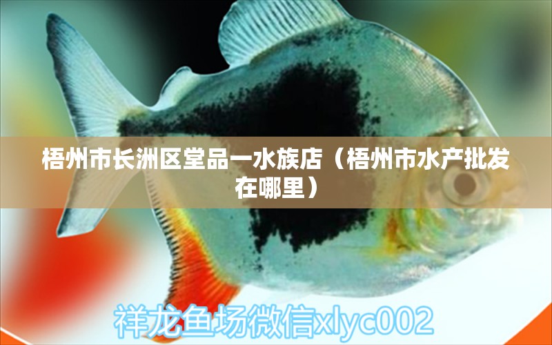 梧州市长洲区堂品一水族店（梧州市水产批发在哪里） 全国水族馆企业名录