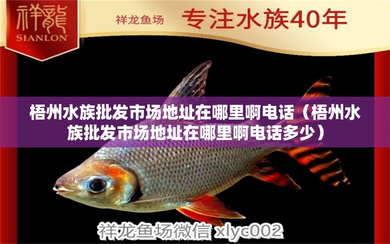 梧州水族批发市场地址在哪里啊电话（梧州水族批发市场地址在哪里啊电话多少）