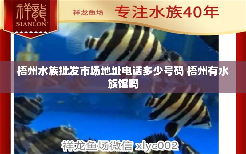 梧州水族批发市场地址电话多少号码 梧州有水族馆吗