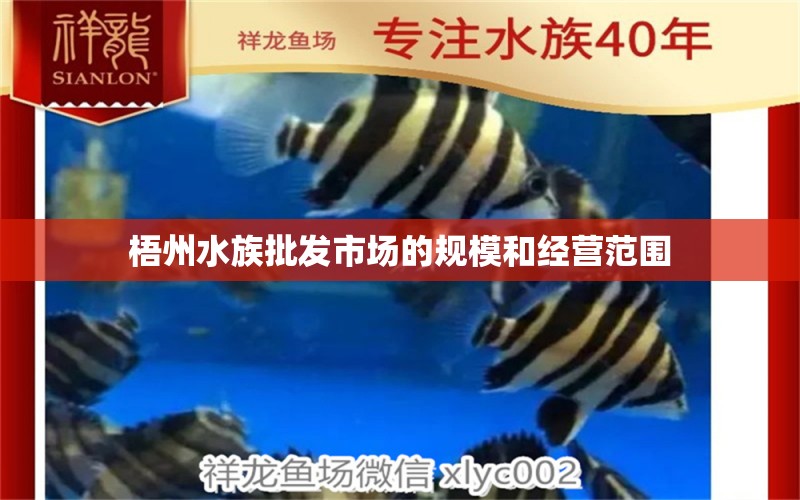 梧州水族批发市场的规模和经营范围