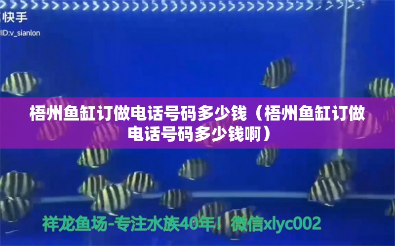 梧州鱼缸订做电话号码多少钱（梧州鱼缸订做电话号码多少钱啊）