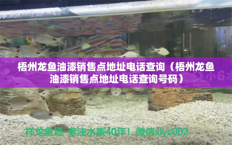 梧州龙鱼油漆销售点地址电话查询（梧州龙鱼油漆销售点地址电话查询号码）