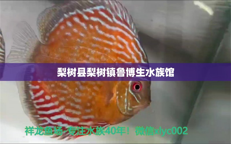 梨树县梨树镇鲁博生水族馆