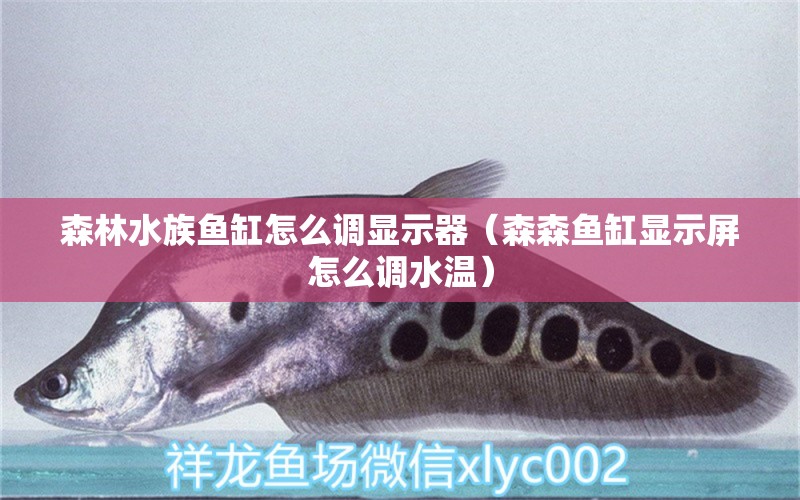 森林水族鱼缸怎么调显示器（森森鱼缸显示屏怎么调水温） 量子养鱼技术